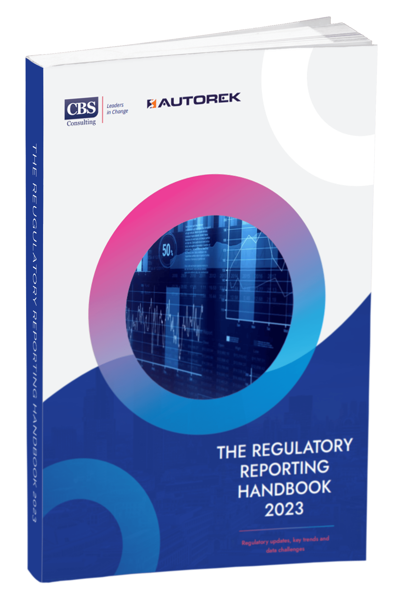 The Regulatory Reporting Handbook Mock-Up